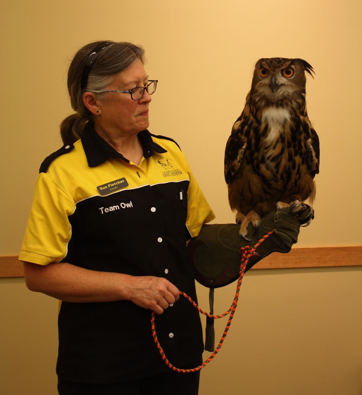 062917-hn-fea-owls-uhu